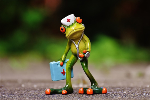 我的专业是护理，《护理专业：关爱生命，守护健康！》